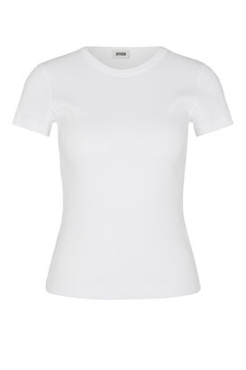 Shirt Koale