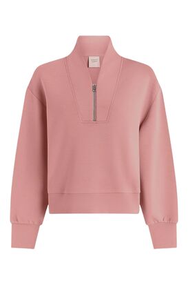 Sweatshirt Davidson
