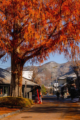 Another Japan